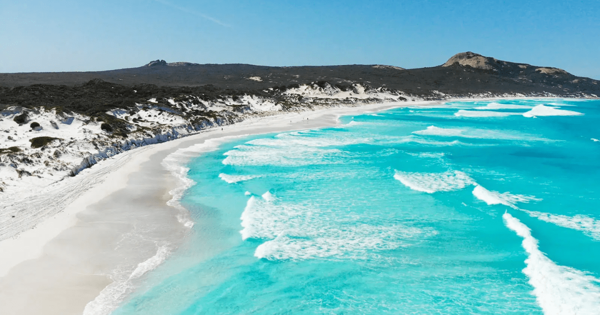 Lucky Bay Pantai Kanguru