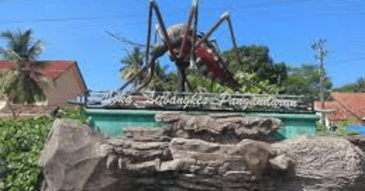 Museum Nyamuk Pangandaran