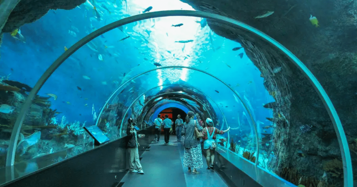 S.E.A. Aquarium