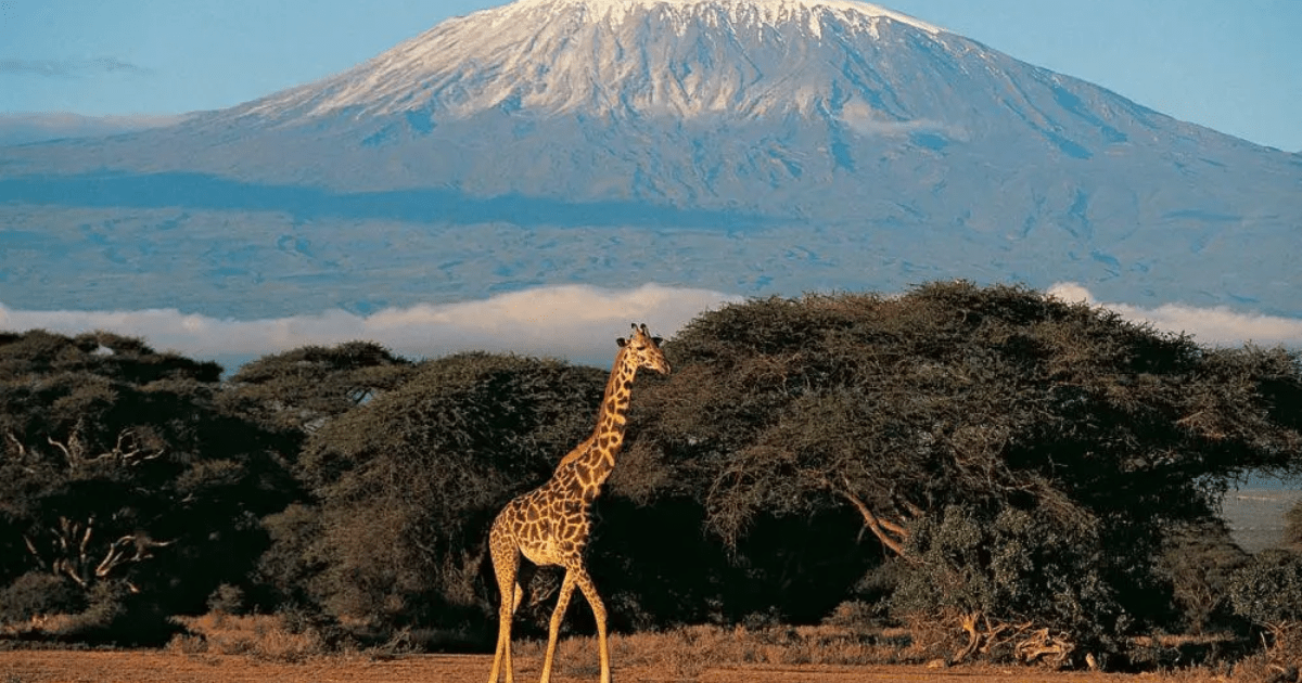 Gunung Kilimanjaro