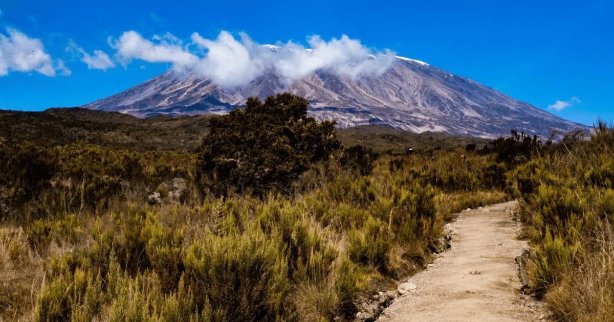 Gunung Kilimanjaro Tanzania