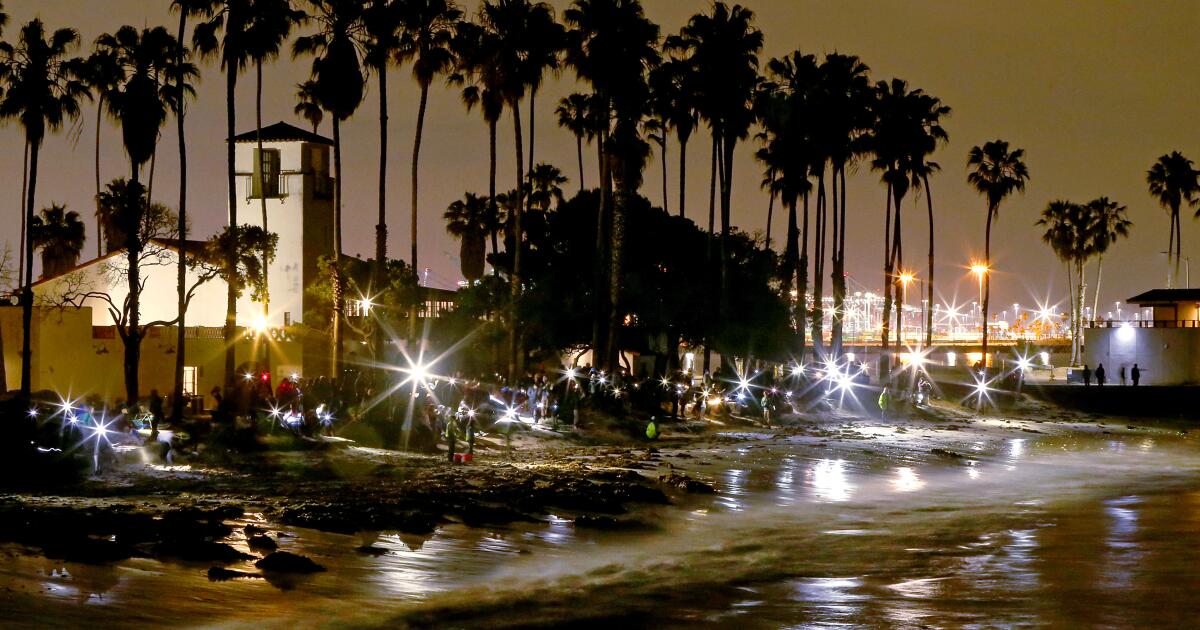 Ilustrasi lari grunion untuk artikel Saatnya Lari Grunion di Pantai California
